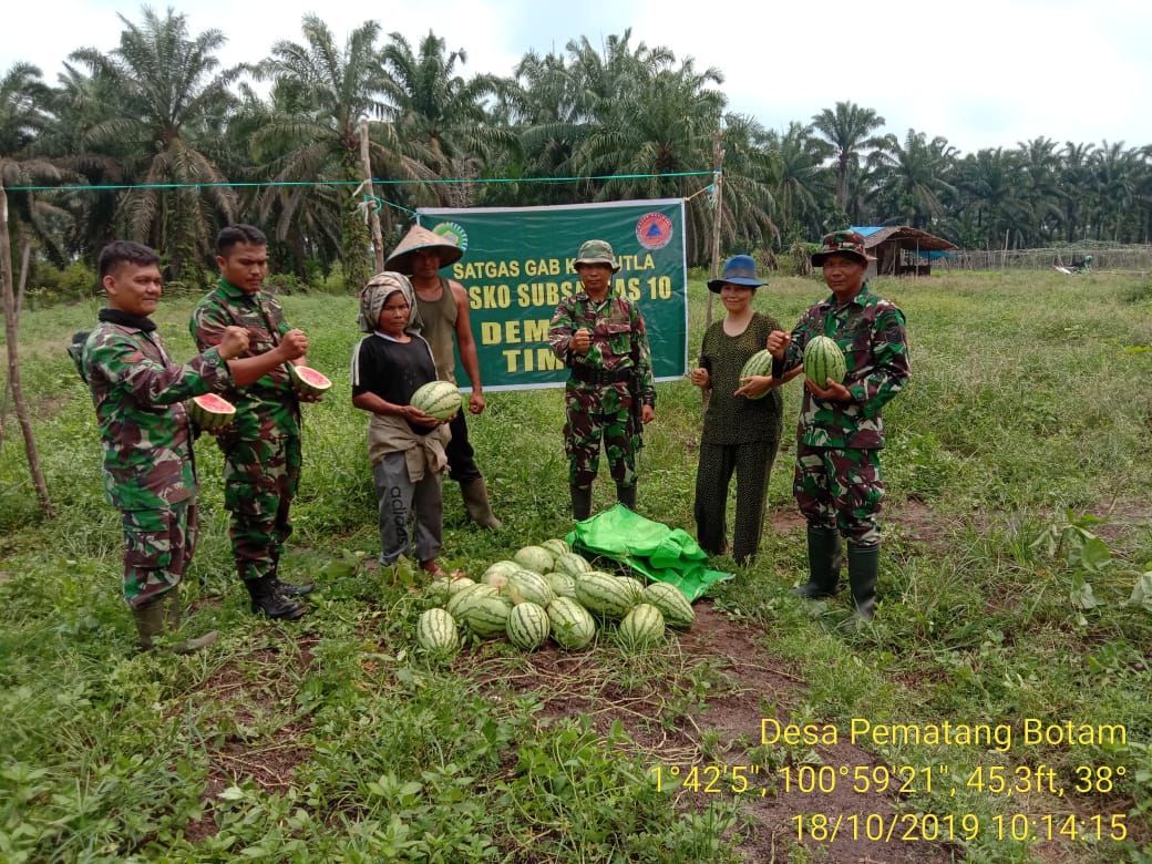 Danpos Koramil 05/RM Bersama Anggota Panen Semangka