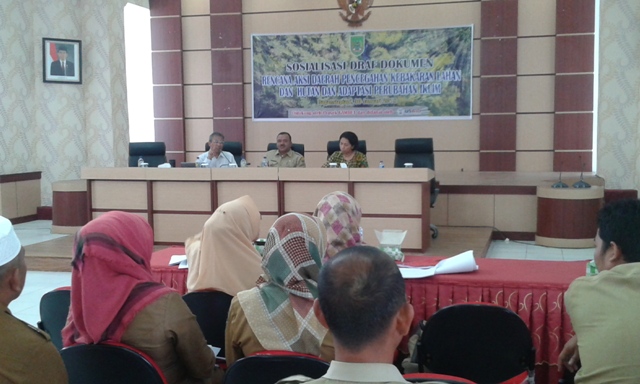 DLH Rohil Sosialisasikan Rencana Aksi Daerah Terhadap Pencegahan Karlahut