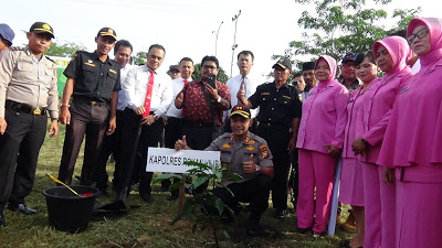 Polres Rohil Tanam 2000 Pohon Diikuti Unsur Masyarakat dan Perusahaan
