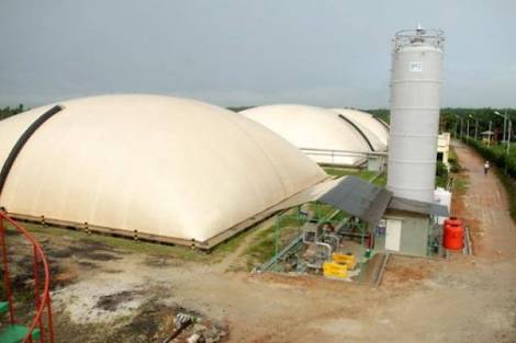 Jepang Tanam Modal Rp1,2 T di Riau Lewat Usaha Listrik Dari Limbah Sawit