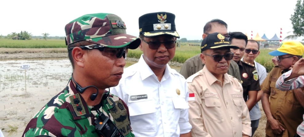 Wabup Rohil Panen Raya dan Tanam Ulang Padi Kepenghuluan Rokan Baru Pesisir Wabup Rohil Panen Raya dan Tanam Ulang Padi Kepenghuluan Rokan Baru Pesisir