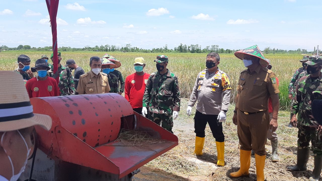 Danrem 031 WB Apresiasi Panen Raya Semangka dan Padi di Rohil