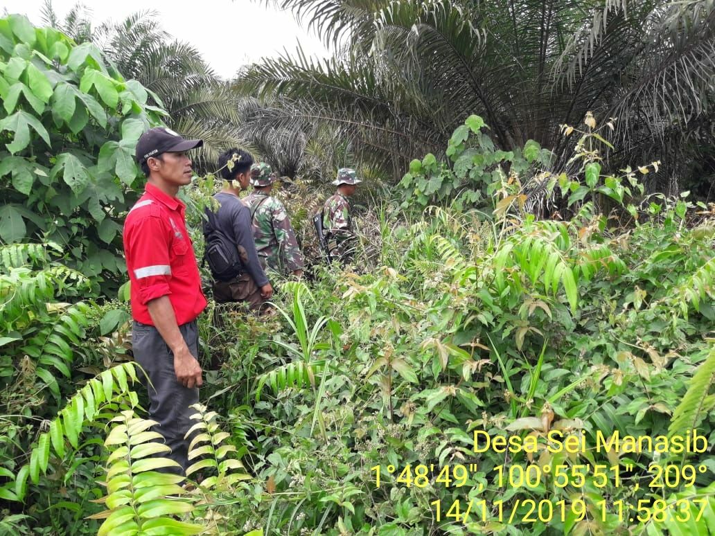 Cegah Karhutla, Babinsa Koramil 05|RM Laksanakan Patroli Rutin