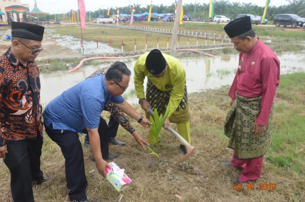Bupati Rohil Tanam 1000 Pohon Pinang Disepanjang Jalan Lintas Pekaitan