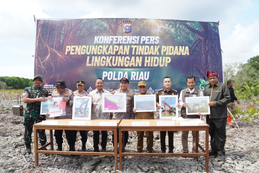 Bupati Rohil Apresiasi Polda Riau Ungkap Perusakan Mangrove