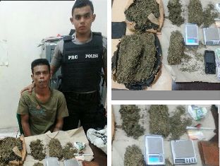 Polres Rohil Amankan Buruh Kebun Edarkan Ganja Kering