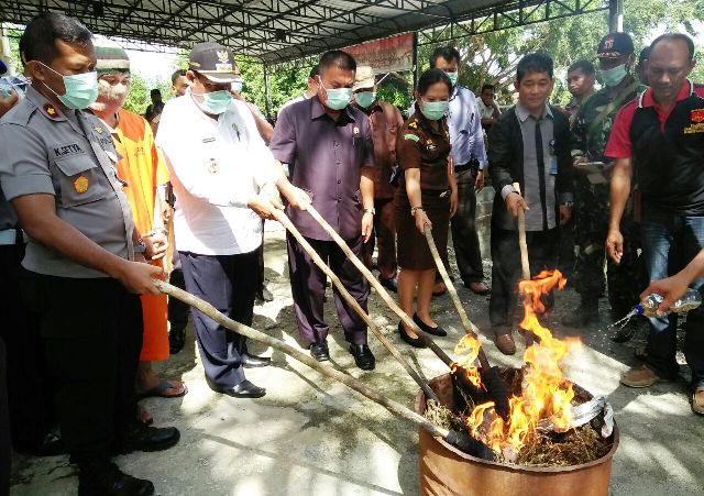 Polres Rohil Musnahkan 7,6 Kg Narkotika Jenis Daun Ganja
