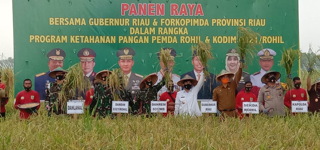 Bersama Gubri, Danrem 031/WB Hadiri Panen Raya Padi Ketahanan Pangan Kodim 0321/Rohil