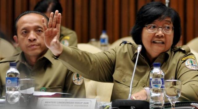 Mengenai SP3 Perusahaan Terindikasi Karlahut, Ini Kata Menteri LHK