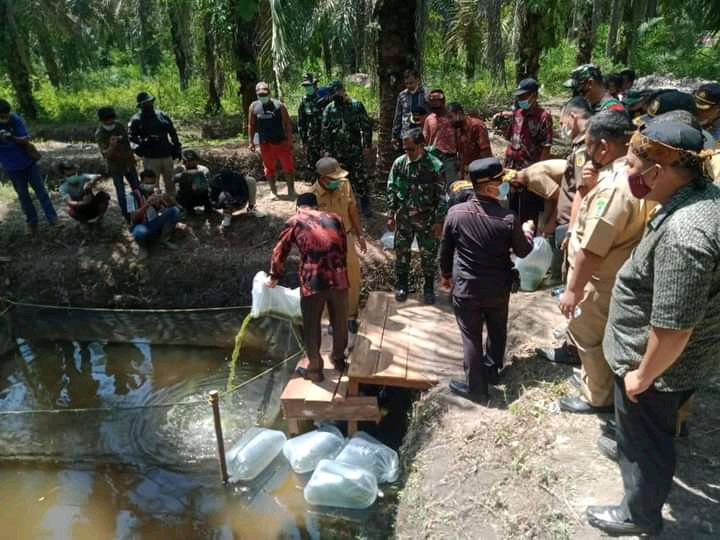 Satgas TMMD ke-111 demplot ikan Nila di Kep. Bagan Sinembah Jaya