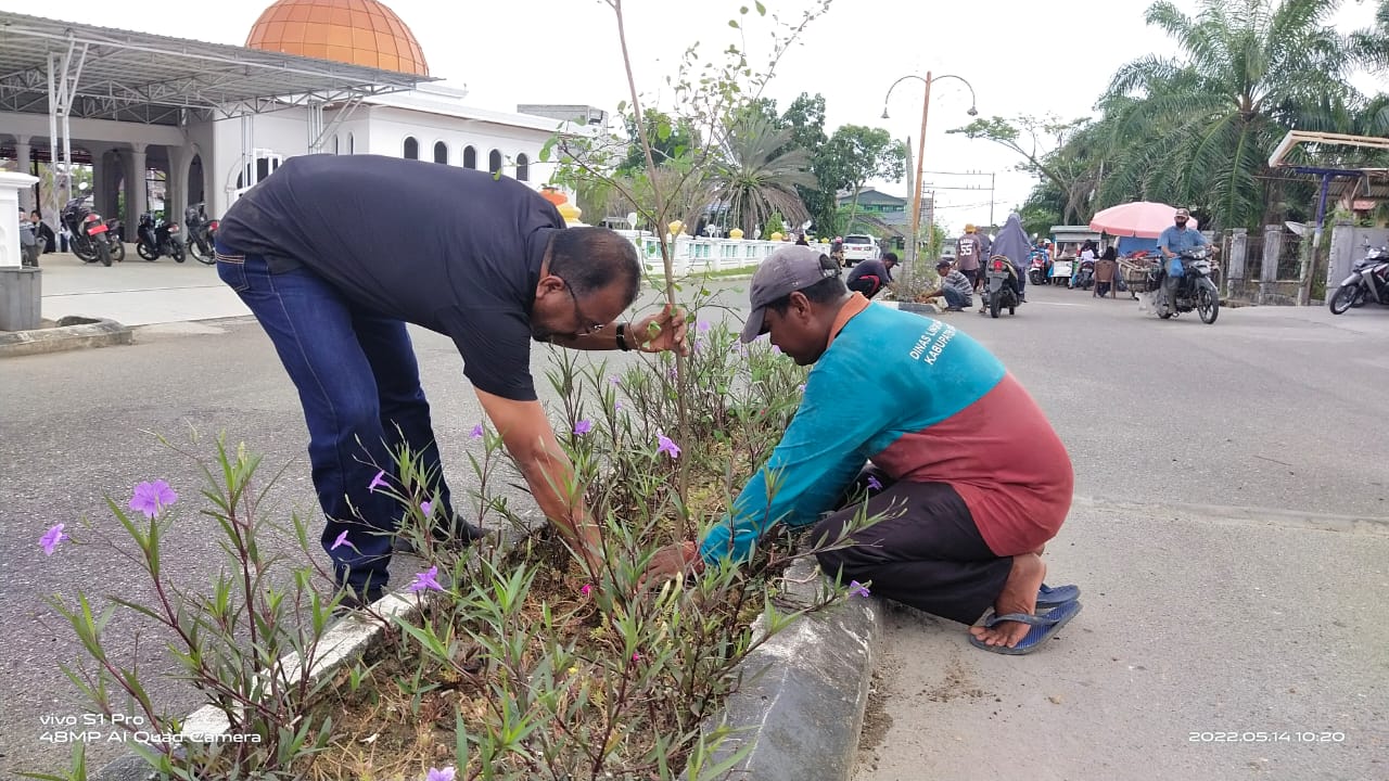 Jelang MTQ dan Bakar Tongkang, Kadis DLH Rohil Pimpin Langsung Penataan Kebersihan Kota