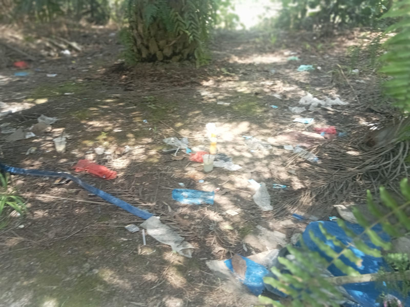 Meresahkan Masyarakat, Diduga Bandar Narkoba Didesa Petani Tak Tersentuh Hukum