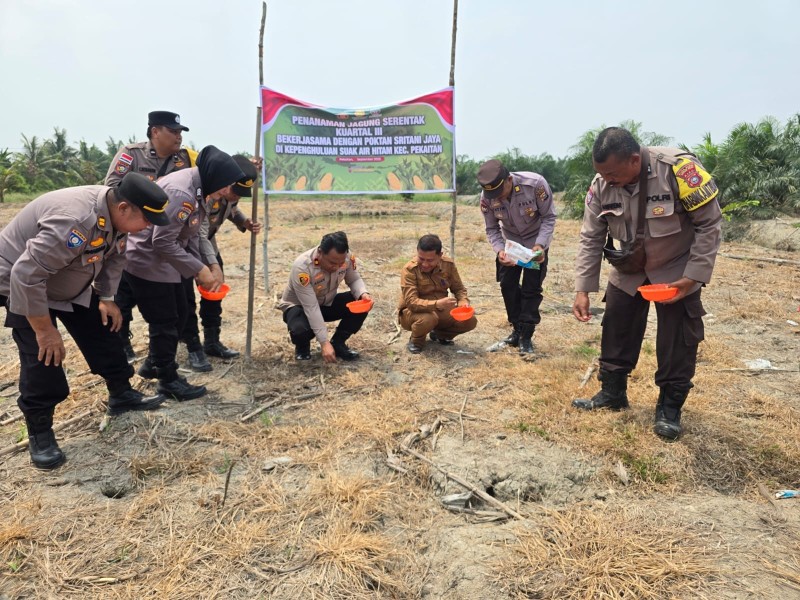 Polsek Bangko Bersama Petani Gelar Penanaman Jagung Serentak Kuartal III di Pekaitan
