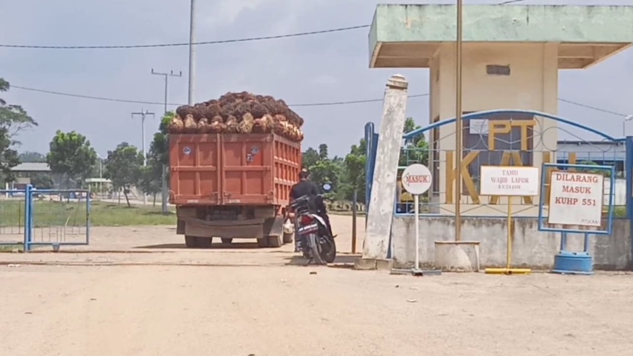 L-KPK Dan PMII Kecam Arogansi PT.KAN Melawan DLH Rohil Dengan Abaikan Sanksi Stop Operasi L-KPK Dan PMII Kecam Arogansi PT.KAN Melawan DLH Rohil Dengan Abaikan Sanksi Stop Operasi