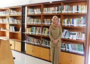2016, Kecamatan dan Kepenghuluan di Rohil Miliki Pustaka