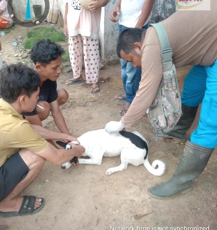 Antisipasi Penularan Rabies, DKPP Rohil Vaksinasi Hewan Peliharaan di Seluruh Kecamatan