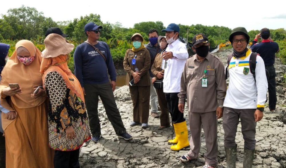 Bupati Rohil Tinjau Pembangunan Tanggul dan Lahan Pertanian Serasi