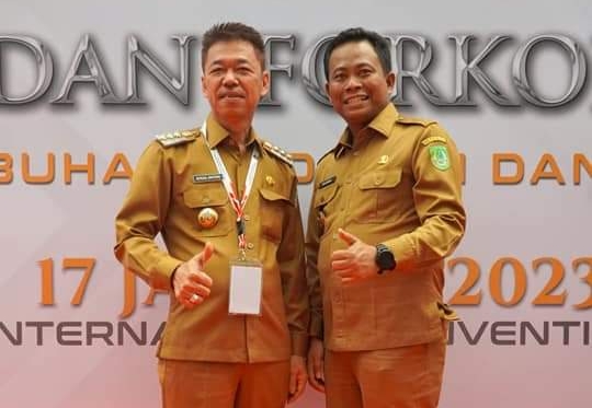 Afrizal Sintong dan H. Sulaiman Terbukti Sukses Memimpin Rohil Pencapaian Visi Misi