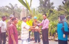 Bibit Kelapa dan Karet Jadi Program Prioritas Disbun Rohil