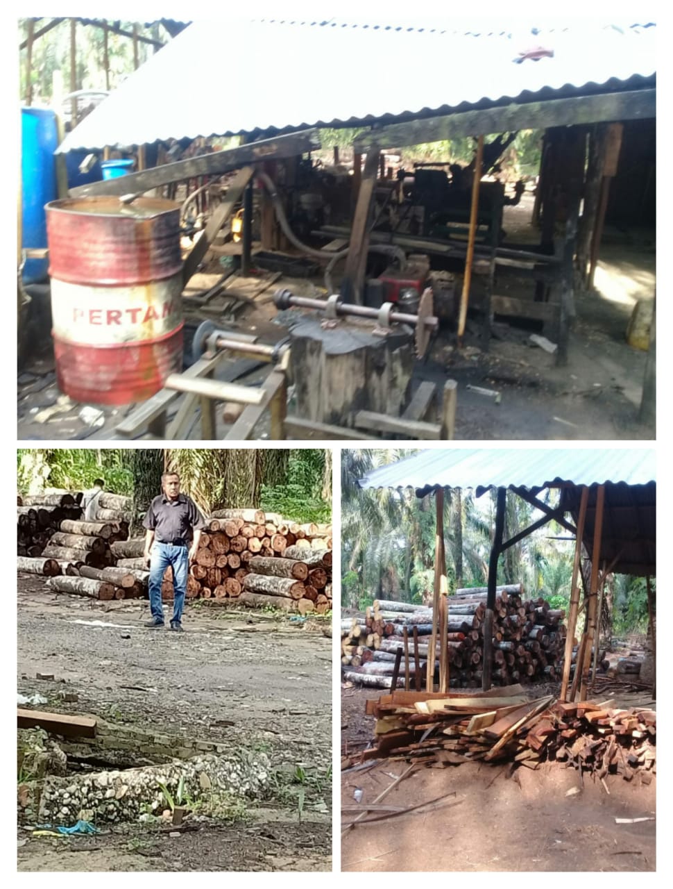 Pembalakan Liar, Pemilik Sawmel di Balam KM 23 Mulus Operasi