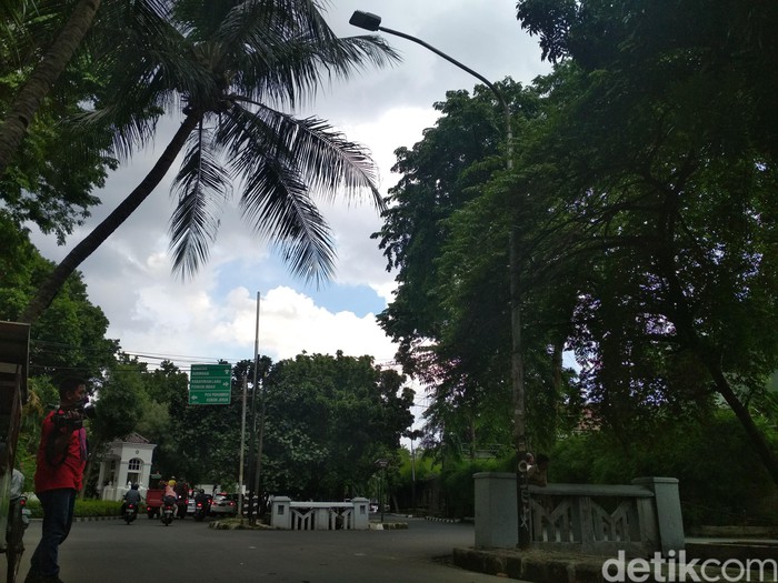 Tiang Listrik Masih Jadi Bahan Perbincangan Netizen