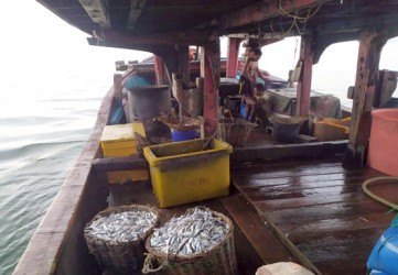 Ditpolair Polda Riau Amankan 7 Kapal Penangkap Ikan di Rohil