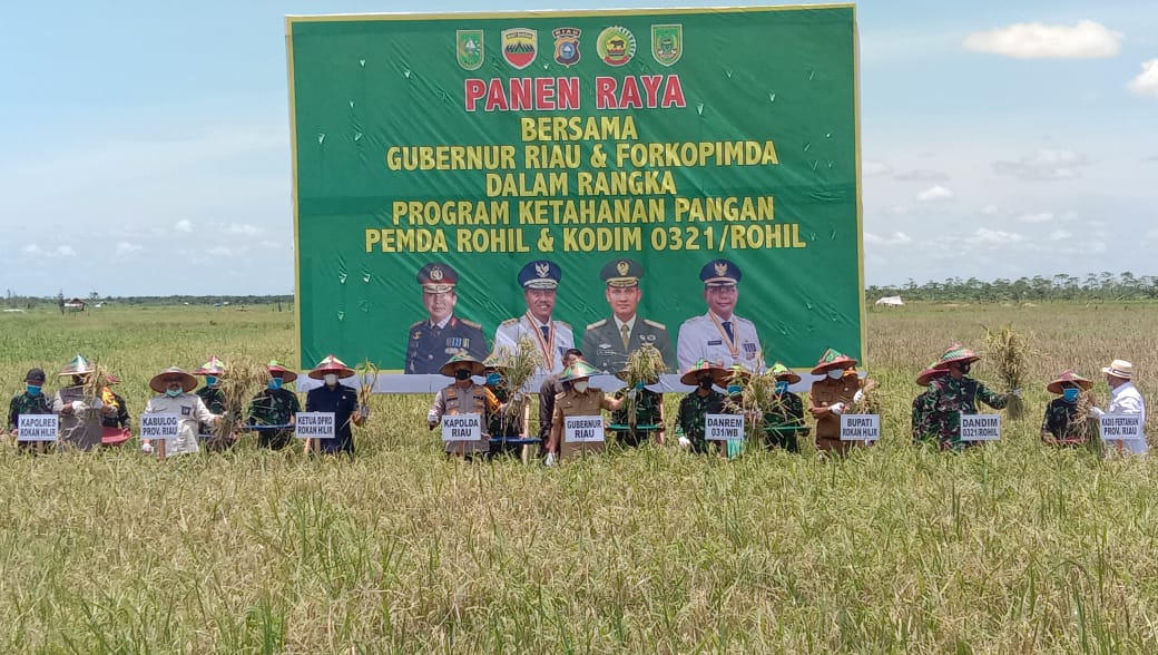 Danrem 031 Wirabima Bersama Gubernur Dan Kapolda Riau Hadiri Panen Raya Padi Di Rohil