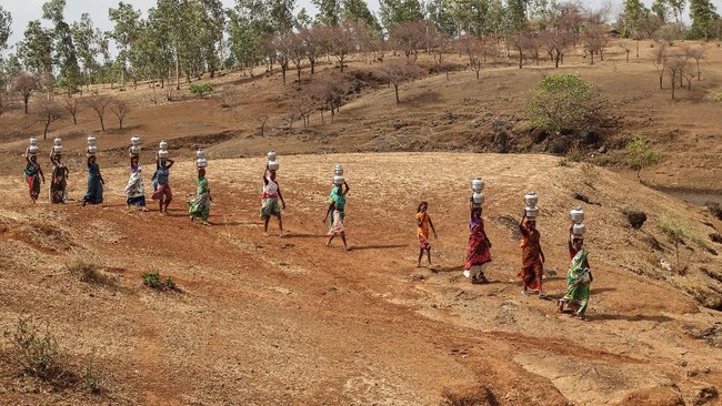 49 Orang Tewas Akibat Gelombang Panas di India dalam 24 Jam