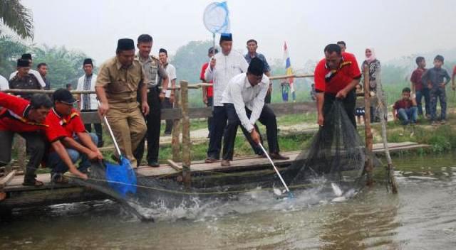 Rokan Hilir Kaya Potensi Investasi Bidang Perikan Dan Budidaya Kerang Laut