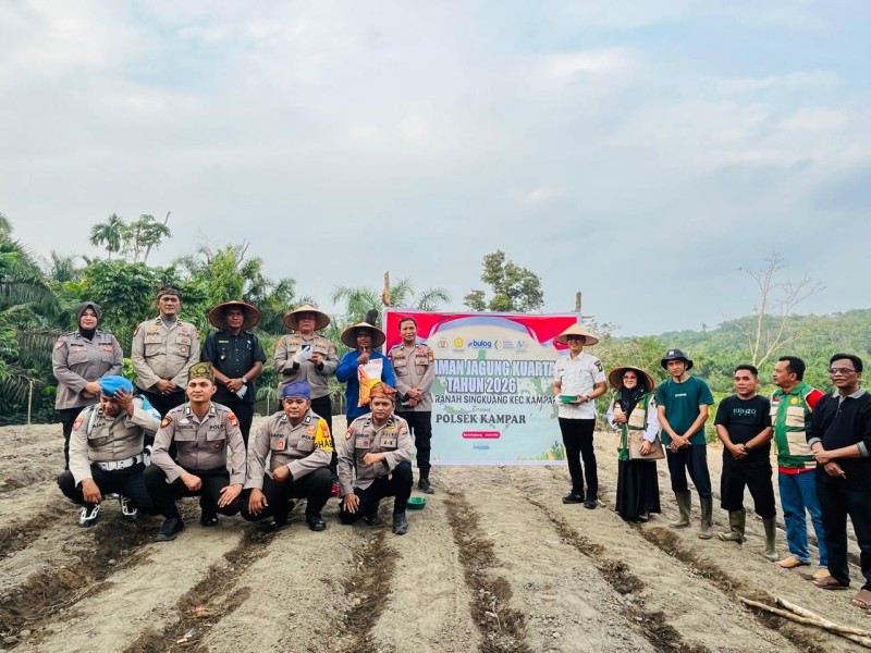 Polsek Kampar Dukung Ketapang, Laksanakan Penanaman Jagung Di Ranah Singkuang