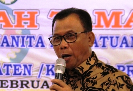 Bupati Rohil Dikabarkan Maju Pilgubri Mendatang