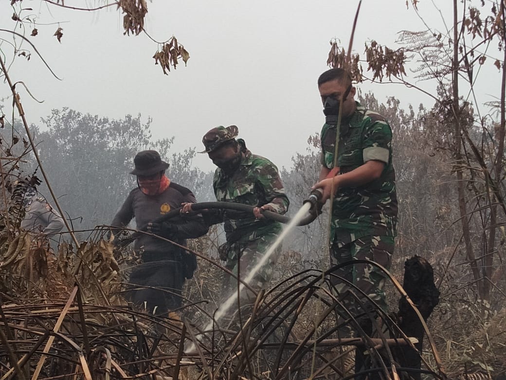 Dandim 0321  Rohil Bersama Jajaran Berjibaku Padamkan Karlahut