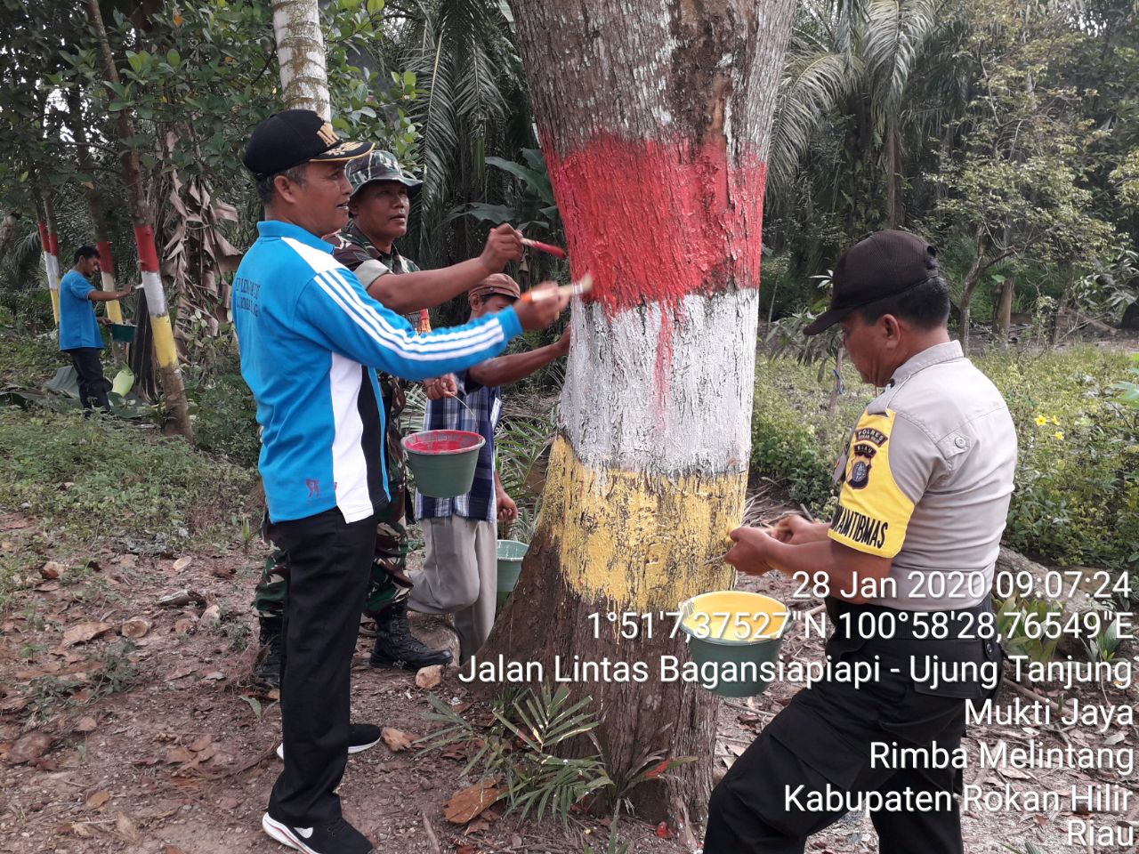 Babinsa, Bhabinkamtibmas dan Penghulu Kompak Laksanakan Pengecatan Pohon