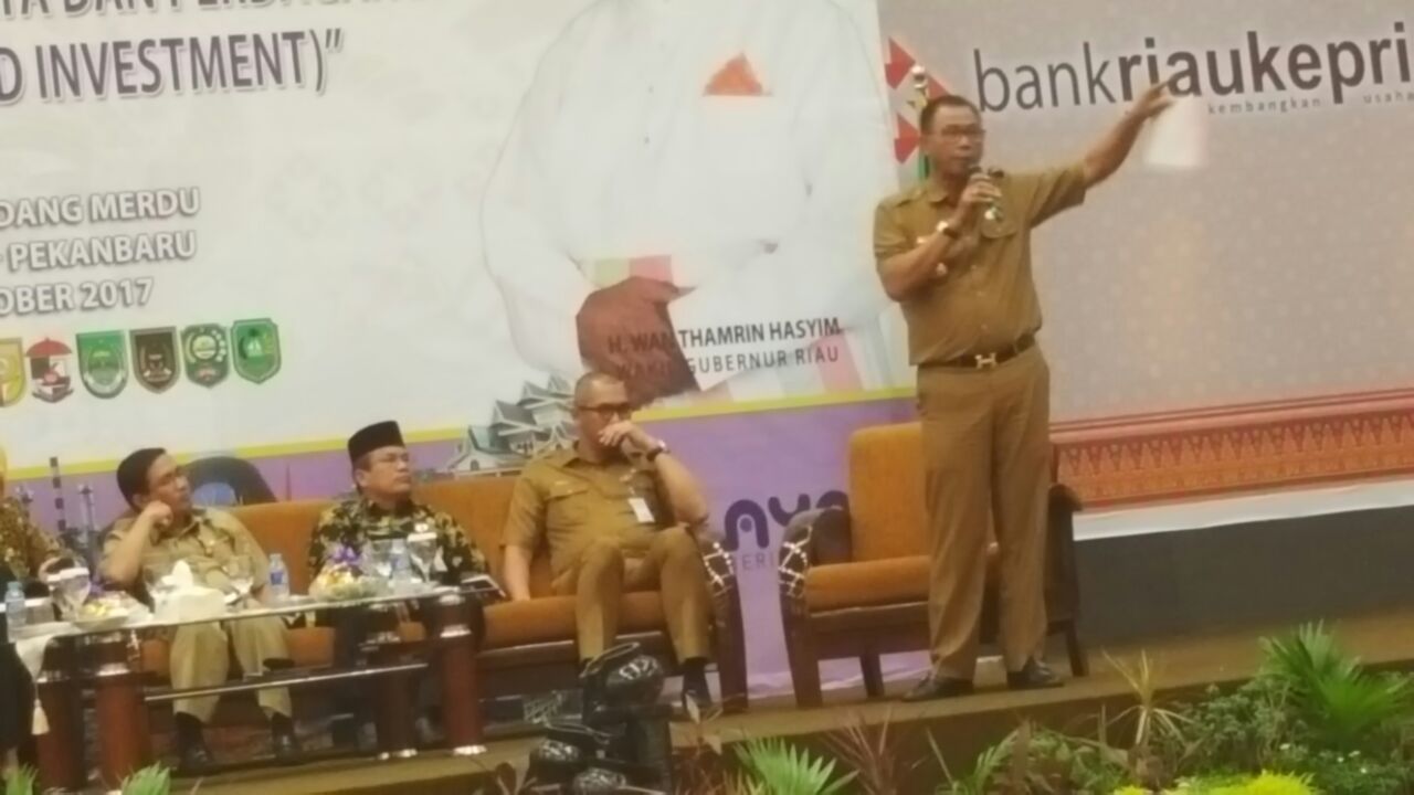 KEREN... Bupati Rohil Expose Potensi Wisata Daerah, Gubri dan Investor Terkagum-kagum KEREN... Bupati Rohil Expose Potensi Wisata Daerah, Gubri dan Investor Terkagum-kagum