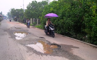 Bupati Rohil Minta Jalan Jambu Rusak di Perbaiki