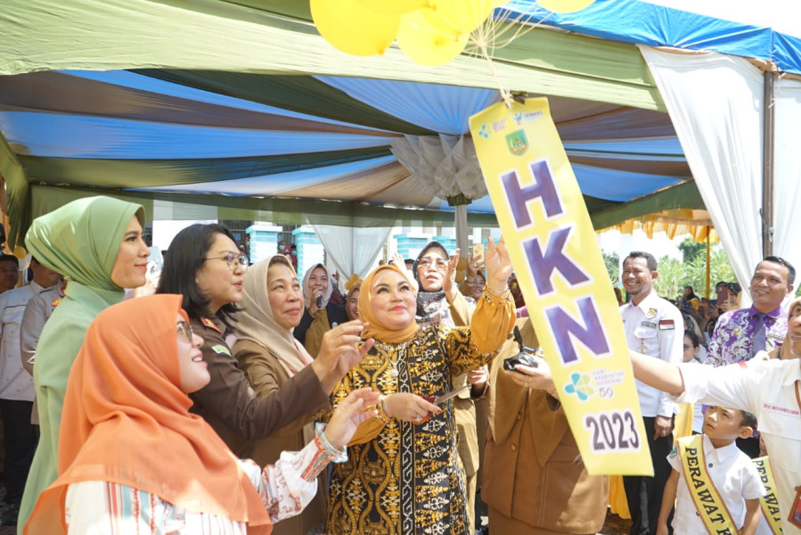 Peringati HKN ke-59, Bupati Rohil Minta Layanan Kesehatan Terus Ditingkatkan