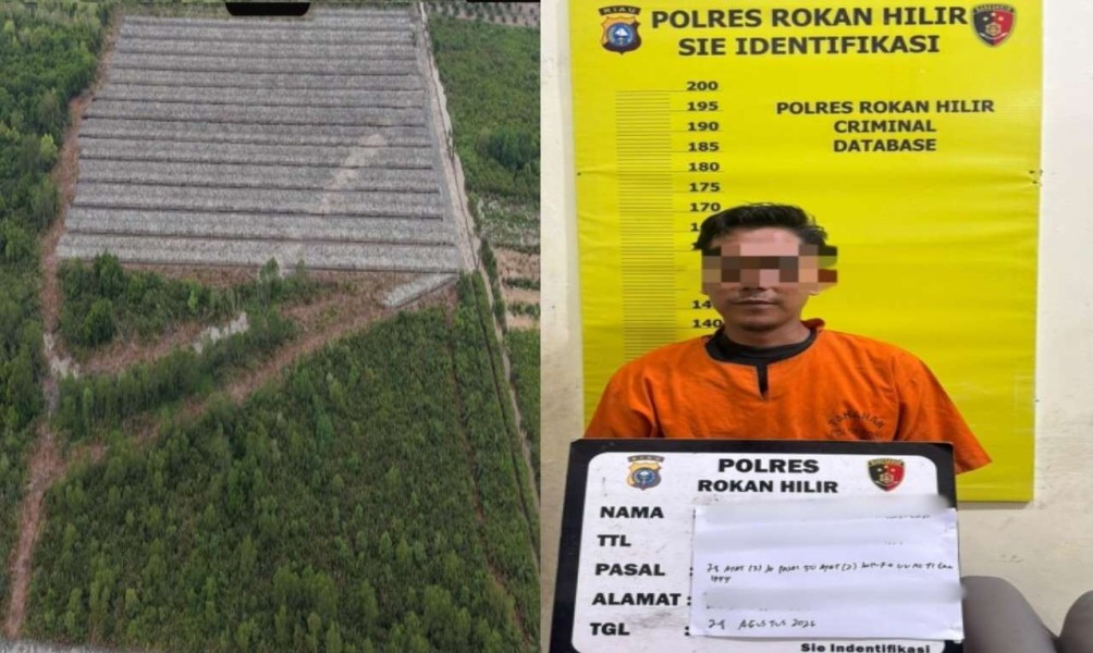 Polisi Tetapkan Penghulu Jadi Tersangka Dugaan Perusakan Hutan Mangrove di Rohil