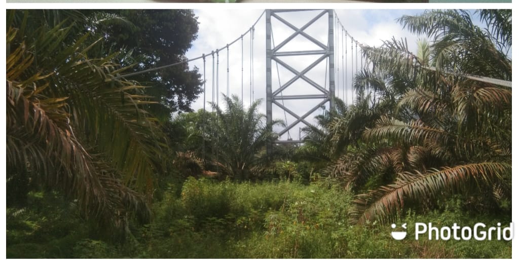 Empat Kali Anggaran Proyek Jembatan Gantung Desa Kuapan Diduga Mangkarak