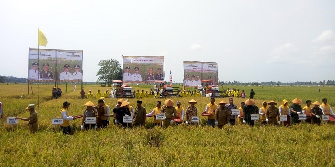 Gubri Hadiri Panen Raya Padi di Rohil