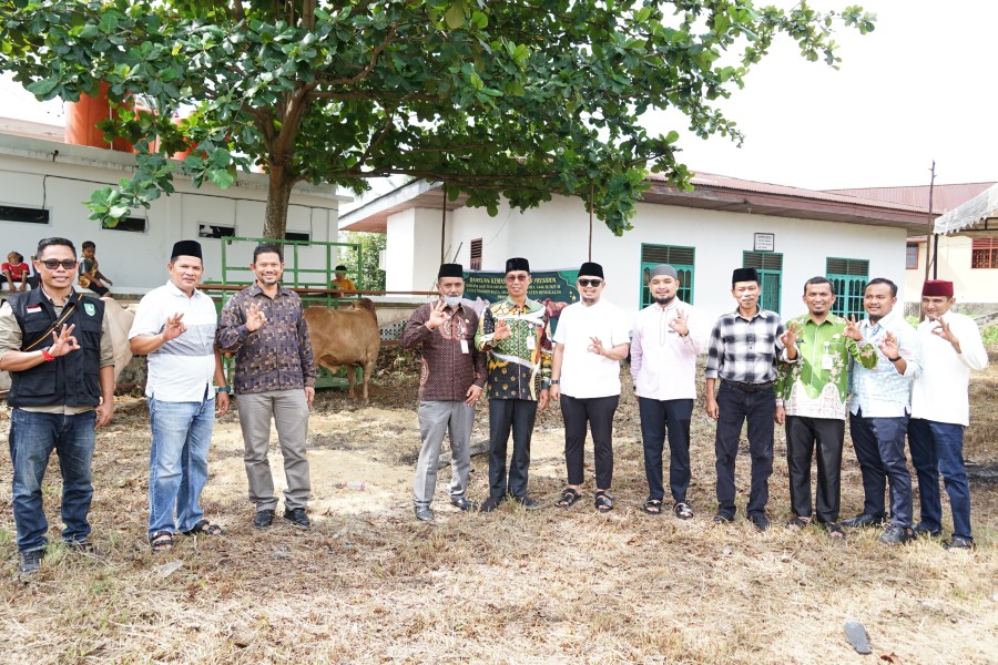 Bantuan Presiden Berupa Sapi Qurban Untuk Masjid Besar Arafah Kecamatan Mandau