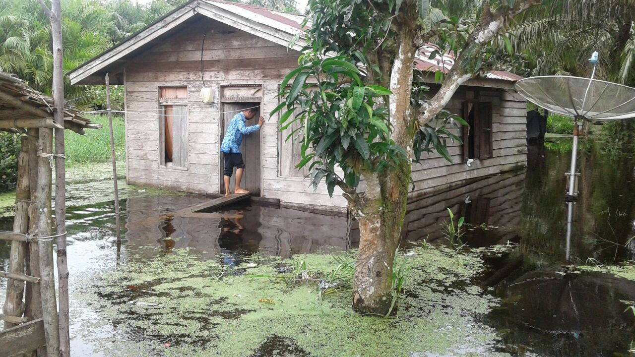 Terkait Banjir, BPBD Rohil Minta Camat Berikan Data Korban