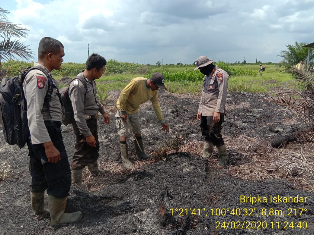 Bakar Lahan, Petani Ditangakap Polsek Pujud