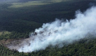 Karhutla Mengancam Riau, Ratusan Hotspot Terdeteksi di 11 Kabupaten/Kota