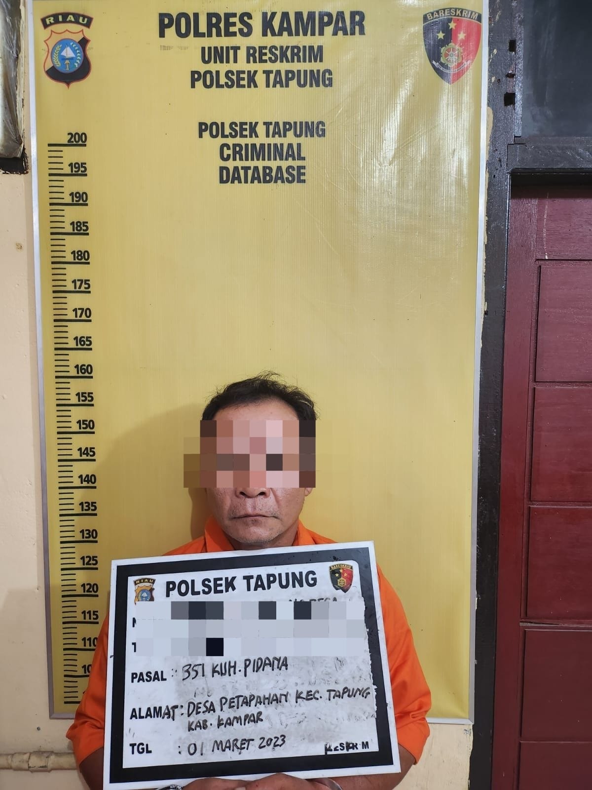 Polsek Tapung Tangkap Pelaku Tindak Pidana Penganiayaan