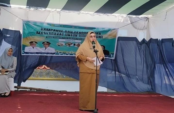 Dinkes Rohil Kumpulkan Puluhan Kader Posyandu Bangko, Lanjutkan Program Nasional