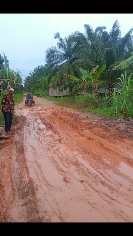 Becek dan Sulit Dilewati, Warga Jalan Sempurna Batu 7 Harapkan Peningkatan Jalan Becek dan Sulit Dilewati, Warga Jalan Sempurna Batu 7 Harapkan Peningkatan Jalan