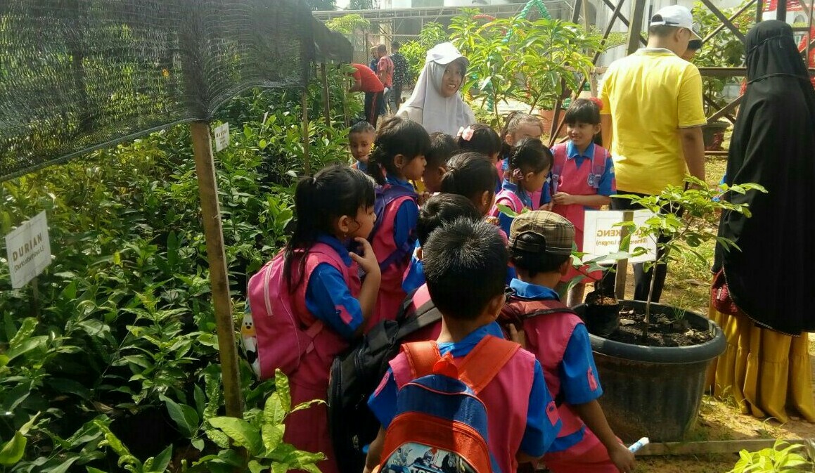 Taman Eduksi DLH Rohil di Kunjungi Siswa Yayasan Setia Budi, ingin tau..?